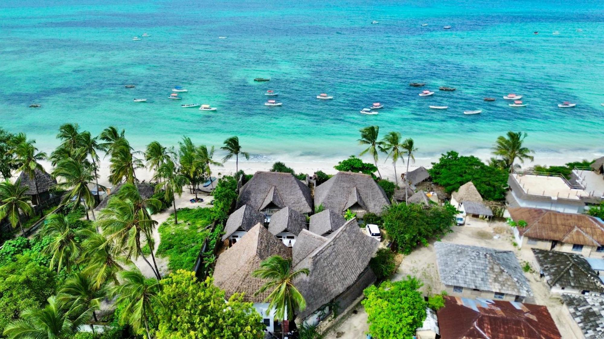 Bitcoin Beach Hotel Zanzibar Michamvi Kae Ngoại thất bức ảnh